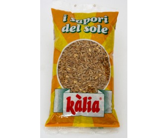 Grano duro 500 gr